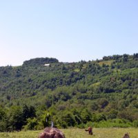 Вика, Купянск