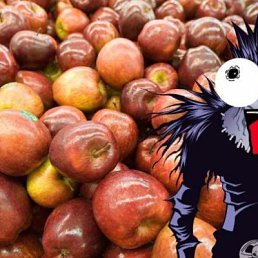 Гоги, Санкт-Петербург