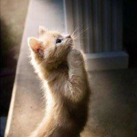 Евгения, Первомайск