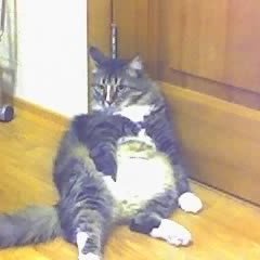 Igorvladimir, Новокузнецк